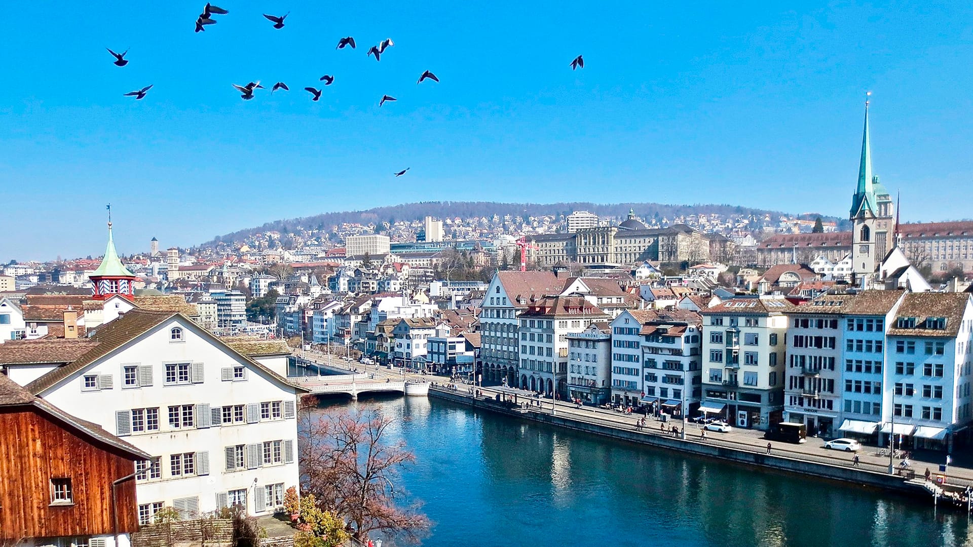 Yläkuva valkotiilisestä kaupungista, keskellä joki, taivaalla lintuja.